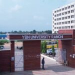 YBN1