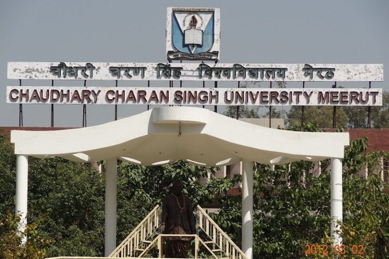 ccs university